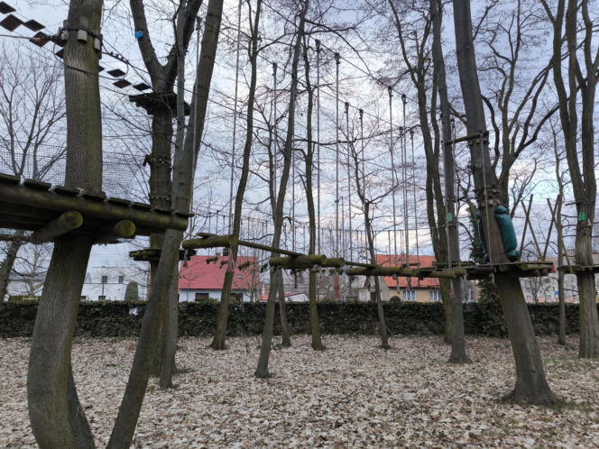 Park Linowy Tarzan w Lesznie