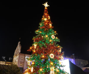 Świąteczne Miasteczko w Rzeszowie już otwarte!