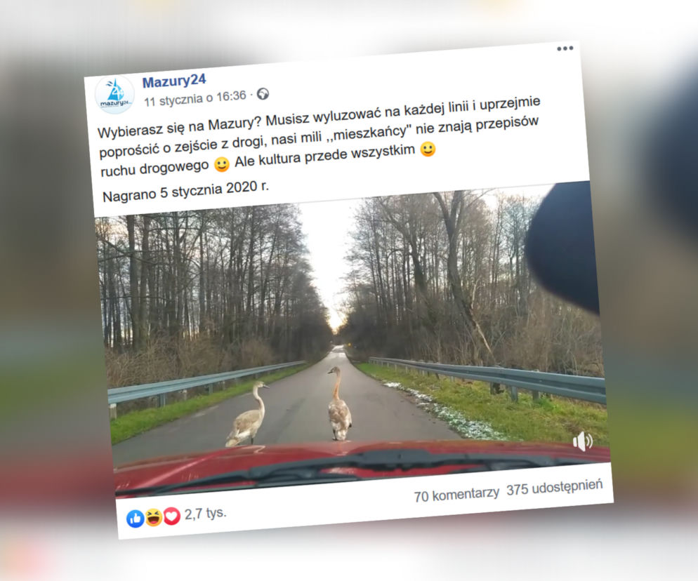 Ten filmik skradł serca Internautów...i rozbawił do łez
