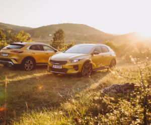 Kia XCeed 1.6 T-GDI 204 KM 7DCT XL
