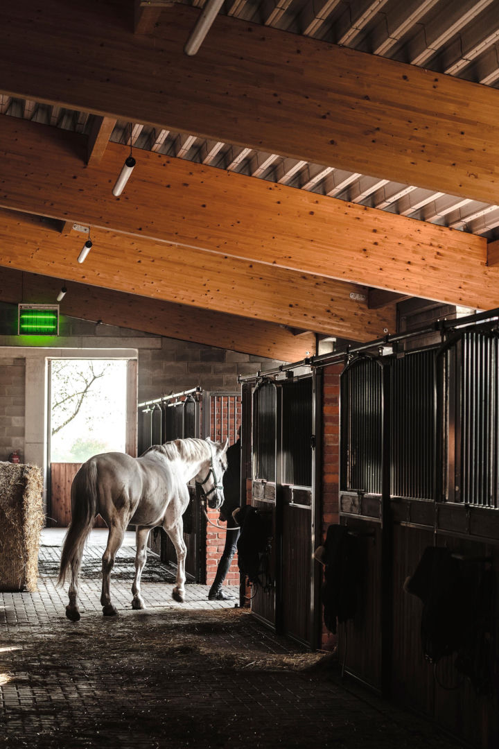 Dom dla koni 17