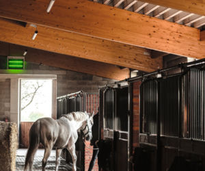 Dom dla koni 17