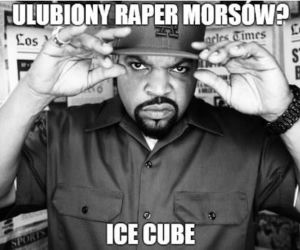 Morsowanie: MEMY 2021. Zobacz najlepsze obrazki i memy o morsowaniu! [ZDJĘCIA]