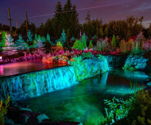 Majówka w Sabacie Krajno 2026