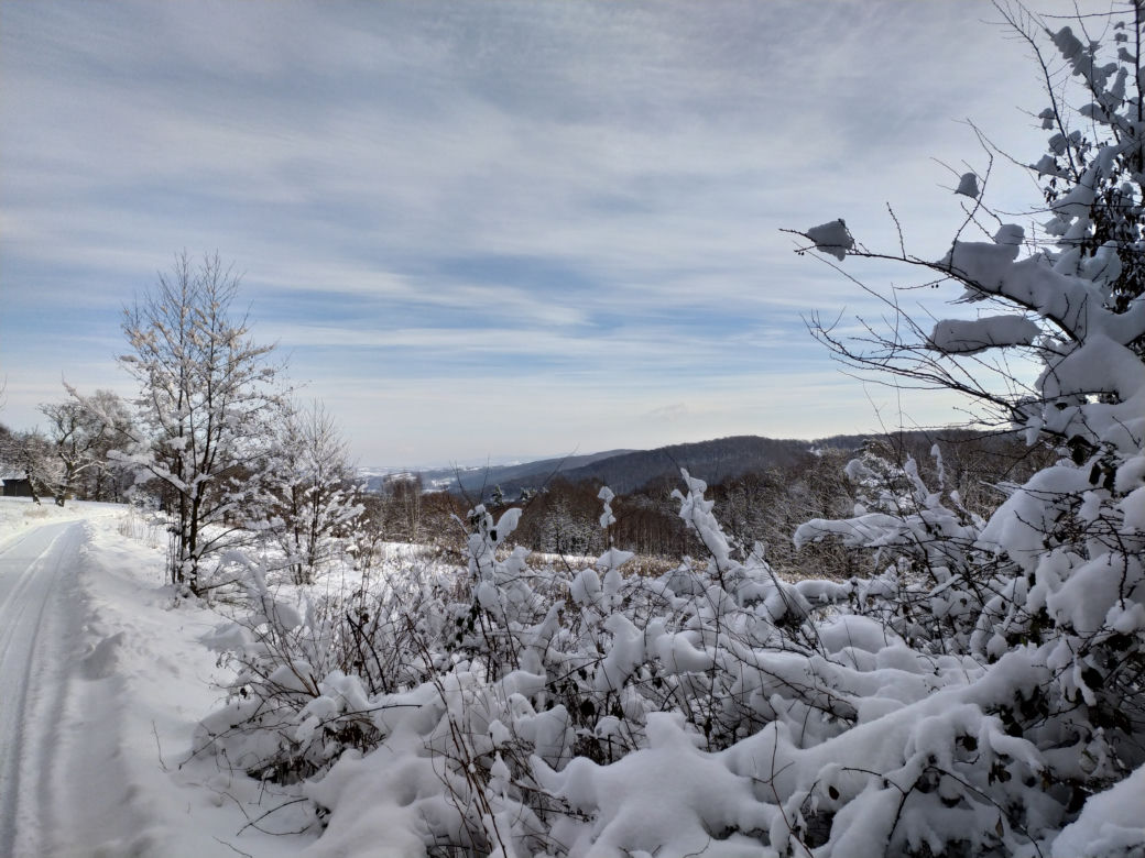 Zima w powiecie tarnowskim 