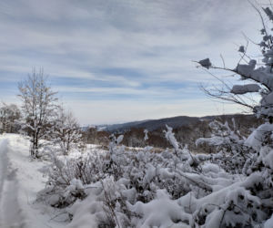 Zima w powiecie tarnowskim 