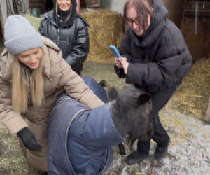 Joanna Krupa odwiedza schronisko dla zwierząt