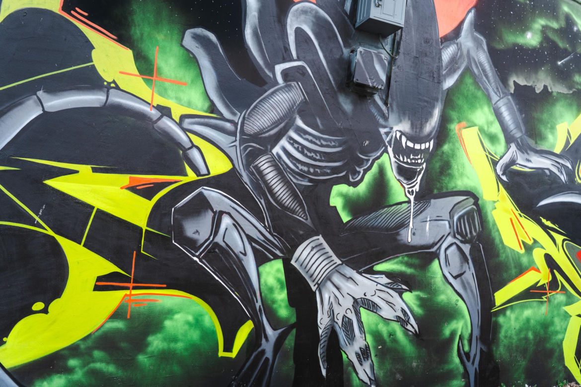 Przy ul. Mieszka I w Siedlcach można podziwiać całą galerię murali i graffiti