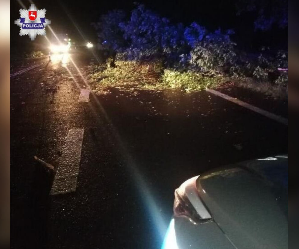 Drzewo spadło na jadący autobus! Groźna nawałnica pod Lublinem