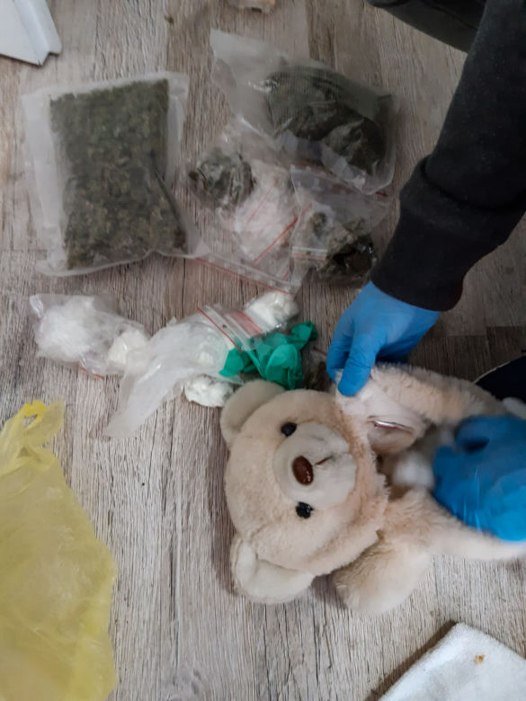 Białystok. Policja WKROCZYŁA do mieszkania. Narkotyki w pluszowym misiu i w bieliźnie 23-latki