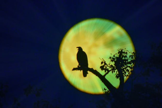 Blue Moon - Niebieski Księżyc