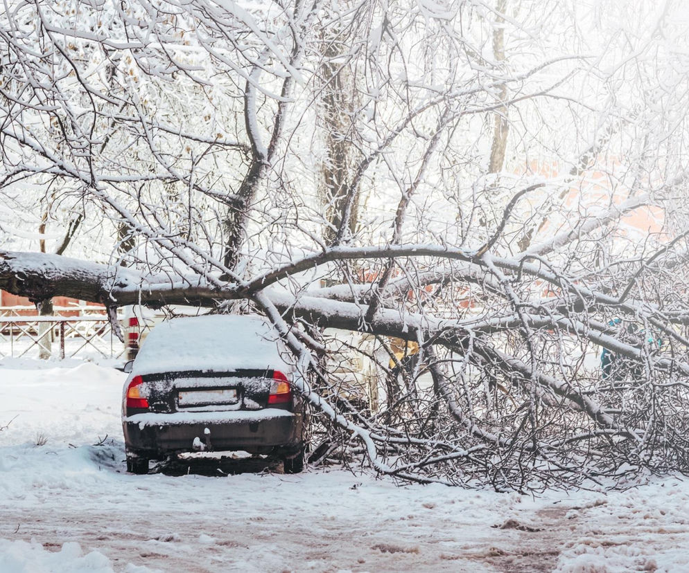 Śnieg na samochodzie
