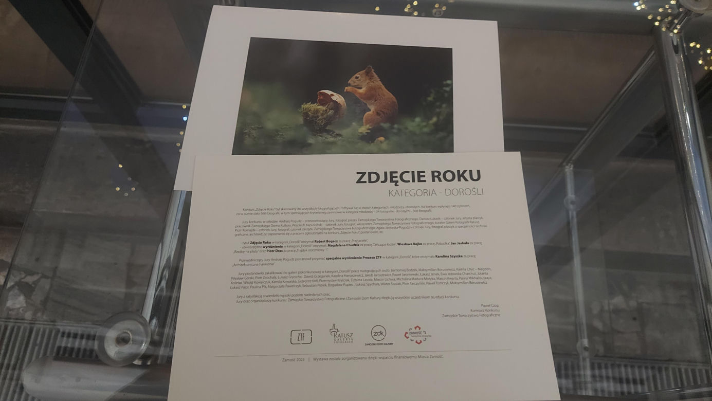 Zdjęcie Roku 2023