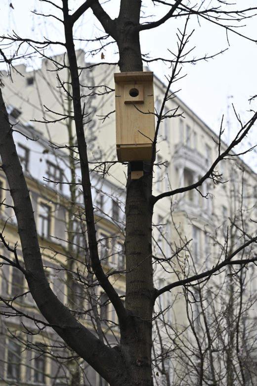 Tak wygląda ul. Chmielna po remoncie. Zmieniła się nie do poznania!