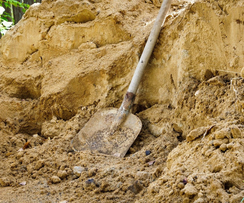Baboszewo. Zatłukł łopatą cztery szczeniaki! Usłyszeli skomlenie, które szybko ucichło