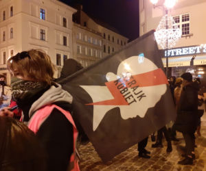 Protest na ulicach Torunia 28 stycznia