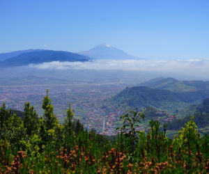 Teneryfa i woidok na Teide