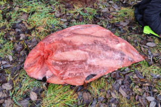 Afera nad jeziorem Bikcze. Wędkarze zgłosili się do pomocy, potem zabrali ryby