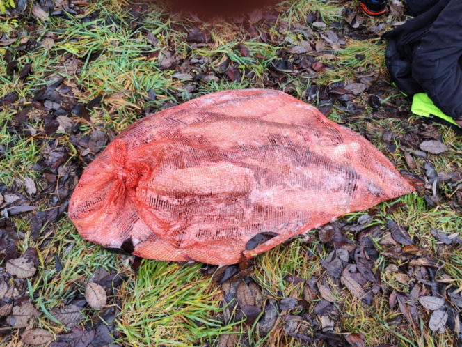 Afera nad jeziorem Bikcze. Wędkarze zgłosili się do pomocy, potem zabrali ryby