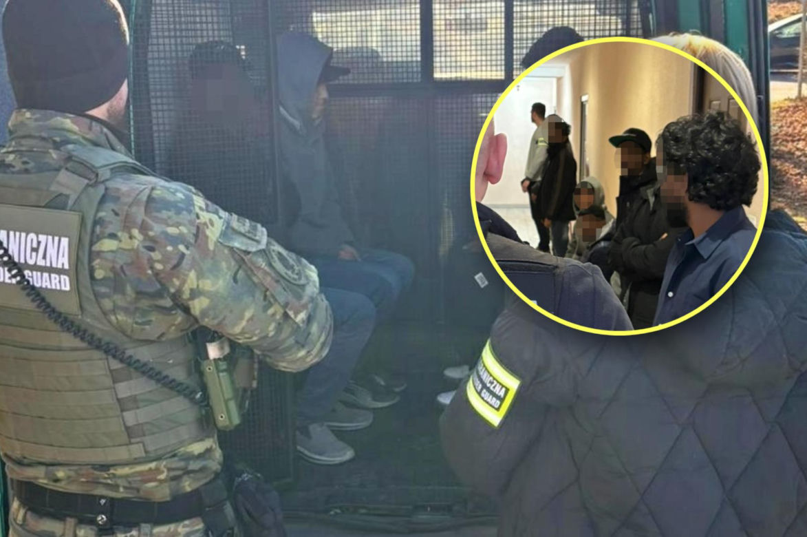 Nielegalni migranci udawali studentów