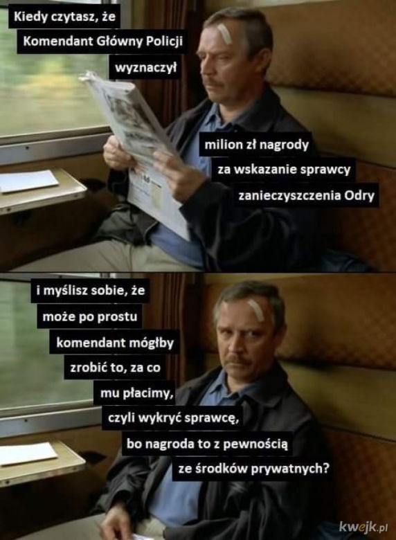 Zatruta Odra. Internauci komentują reakcje rządu [MEMY] 
