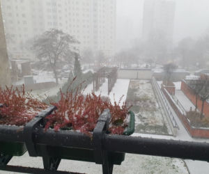 Burza śnieżna nad Warszawą 17.01. Białe zimno dopadło stolicę! Te dzielnice padły ofiarą