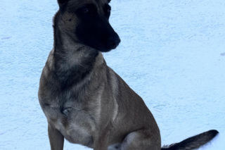 Tajga z lubelskich kontrterrorystów wróciła z międzynarodowego szkolenia