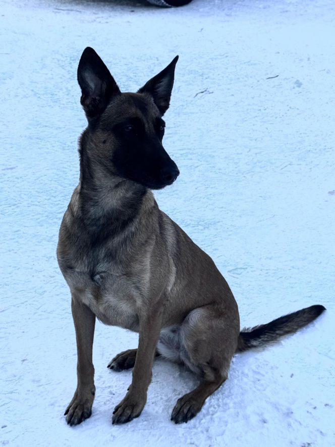 Tajga z lubelskich kontrterrorystów wróciła z międzynarodowego szkolenia