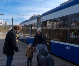 Dzień Kobiet 2019 w Krakowie. Znany społecznik rozda 2500 tulipanów na rondzie Mogilskim!