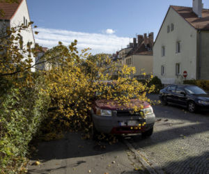 Wrocław. Wichura zwaliła drzewo na samochód