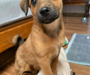 Monika Richardson spędzi nietypowego sylwestra. Oto, co nam wyjawiła