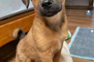 Monika Richardson spędzi nietypowego sylwestra. Oto, co nam wyjawiła