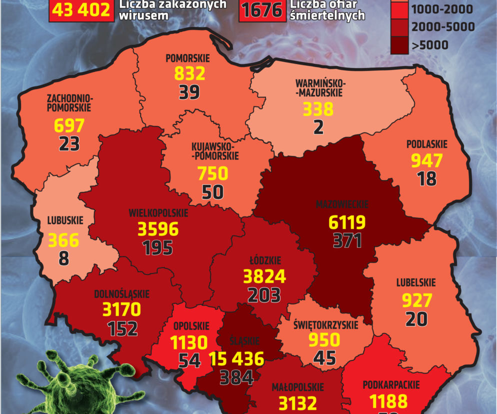 Koronawirus w Polsce [27.07.2020]