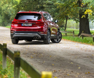 Hyundai Santa Fe 2.0 CRDi 185 KM 8AT 4WD Platinum
