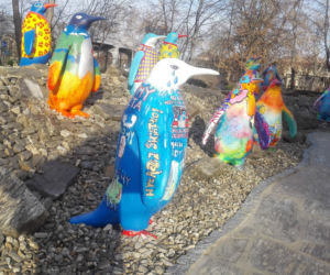 Wrocławskie zoo jako pierwsze w Europie ma multimedialny pawilon bez zwierząt