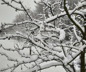Pierwszy śnieg w regionie tarnowskim