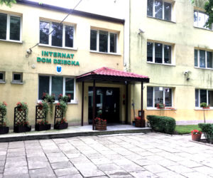 PRZEMOC NA KOLONIACH?