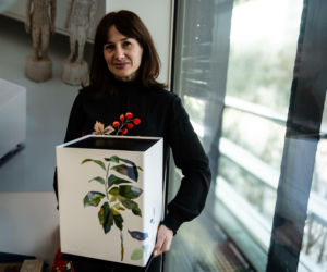 Noah od Stadler Form