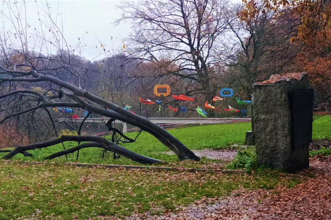 "Ogniste Ptaki" w Parku Kasprowicza w Szczecinie