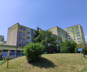 Karaluchy straszą mieszkańców bloku przy ulicy Witeckiego 3 w Bydgoszczy 