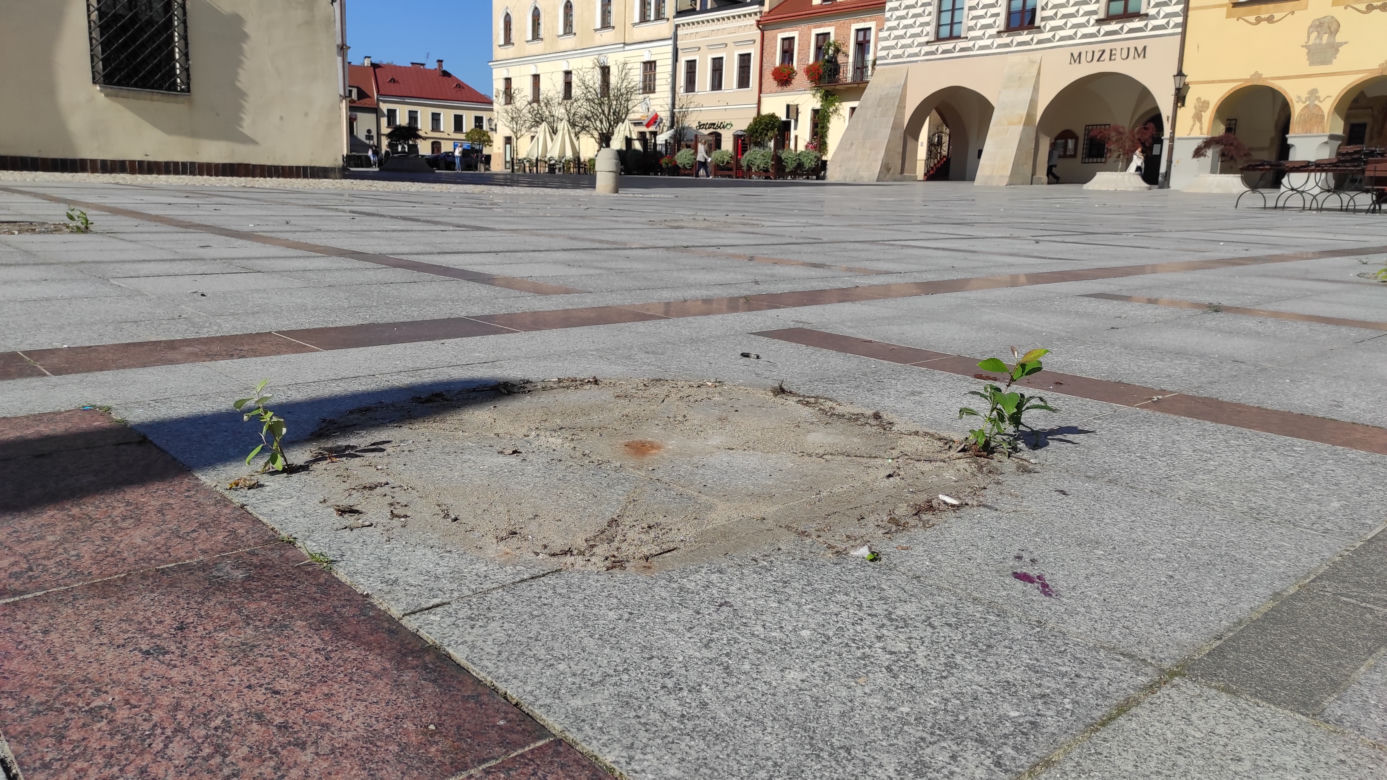 Znikają parasolki z tarnowskiego rynku