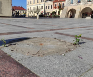 Znikają parasolki z tarnowskiego rynku