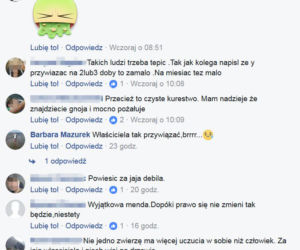  Przywiązali psa do drzewa. Internauci szukali okrutnych właścicieli szczeniaka