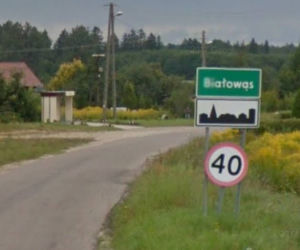 Białowąs 