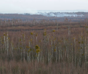 Biebrzański Park Narodowy UGASZONY. Zobacz, jakie zniszczenia spowodował ogień
