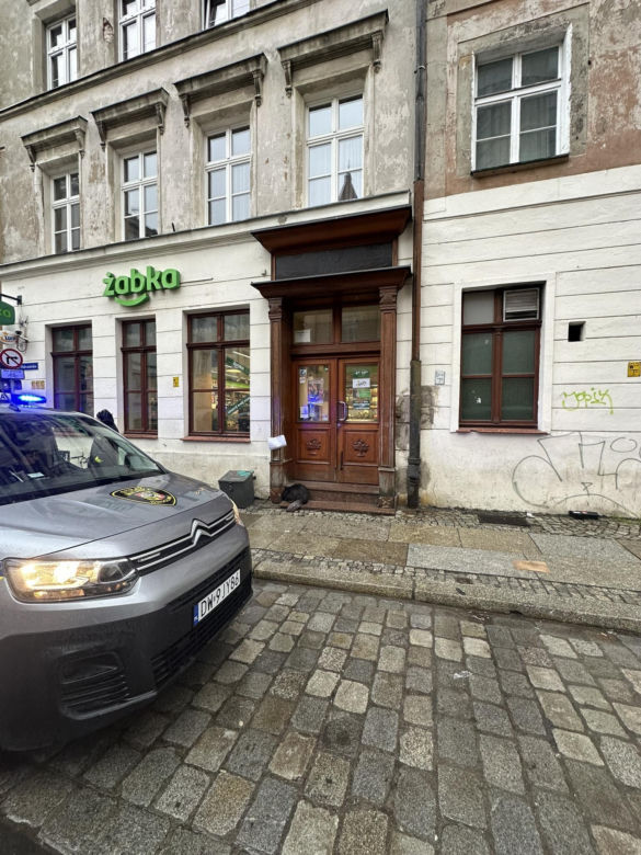 Przestraszone zwierzę wtuliło się w schody przed sklepem