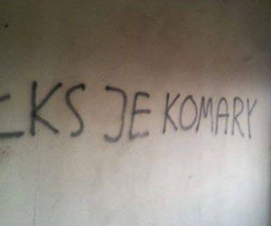 Widzew nosi czapkę z dupki od chleba, a ŁKS je komary... Derby Łodzi na murach