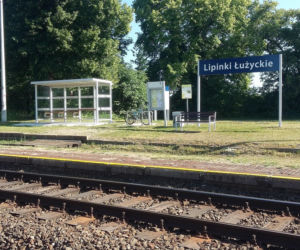 Tak dziś wyglądają Lipinki Łużyckie