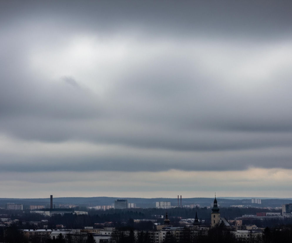 Krajobraz miejski widać pod szarym, zachmurzonym niebem, które zajmuje większą część kadru. W tle rozciągają się wzgórza pokryte ciemnymi lasami, a na ich horyzoncie majaczą odległe zabudowania. Na pierwszym planie widoczne są dachy budynków, ciemne korony drzew bez liści oraz kilka wyższych konstrukcji, w tym kominy przemysłowe i wieża kościoła z zielonym dachem. Dominują stonowane barwy szarości, brązu i ciemnej zieleni.