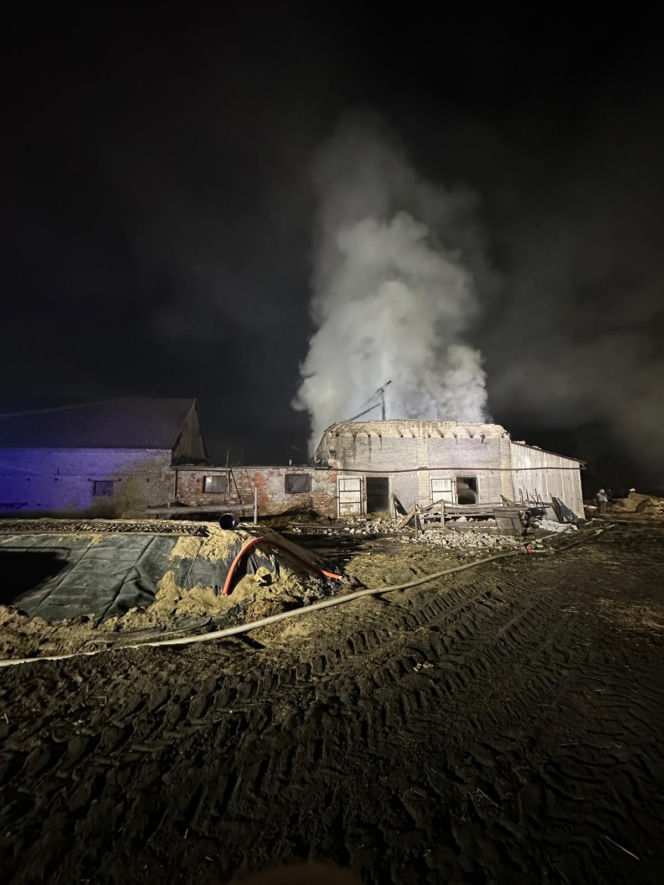 Padło ok. 20 byków. W Mościszkach palił się budynek inwestarski [ZDJĘCIA]